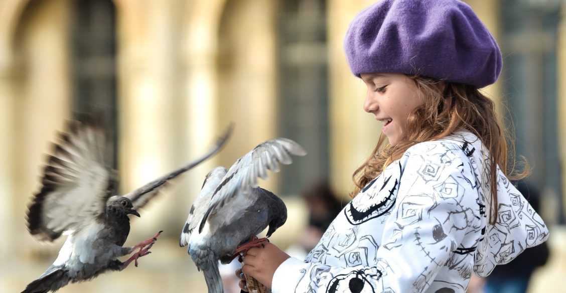 На Благовещение мы отпустим спасенного голубя