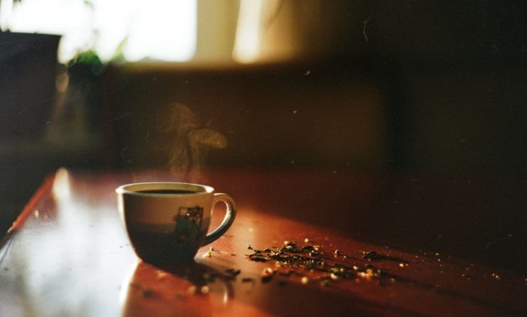 Чай с бегемотом в воскресение мертвых