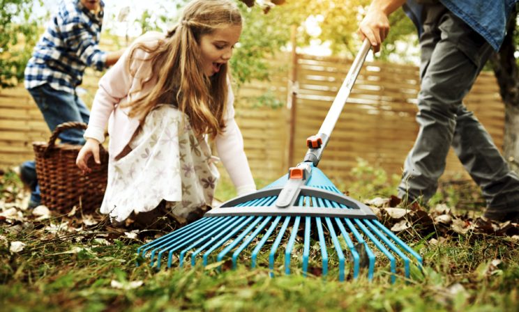 семейные конфликты