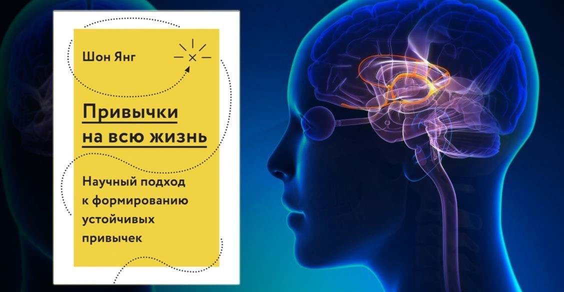 Как наш мозг формирует привычки