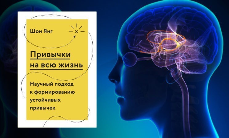 Как наш мозг формирует привычки