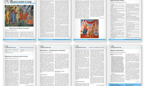 Православная стенгазета № 19 (438)