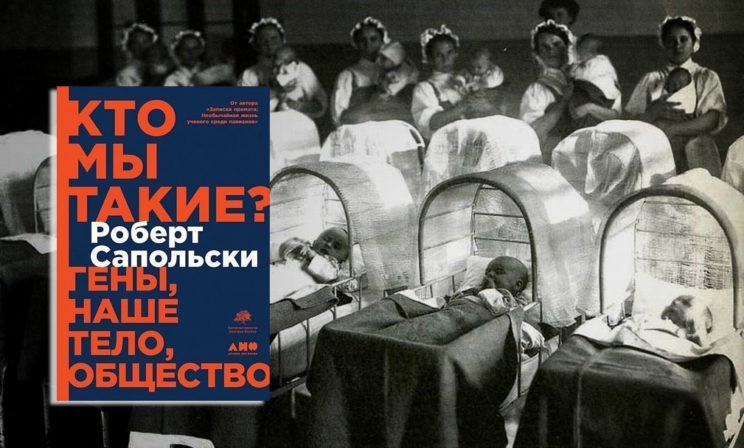 Во всех приютах, кроме одного, дети умирали, не дожив до двух лет