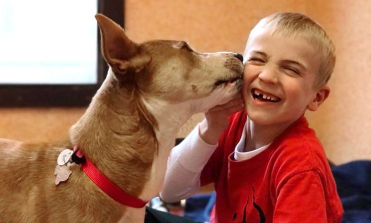 «Когда вы смотрите ему в глаза, с вами говорит его сердце» – как маленький мальчик спас тысячу собак