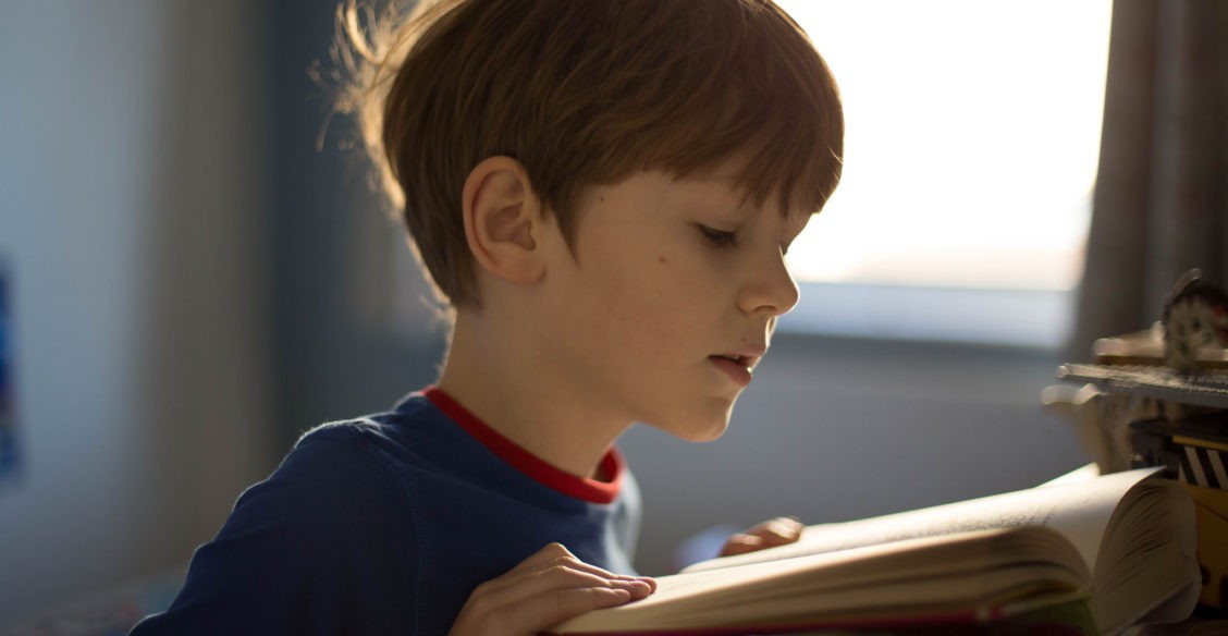 От программирования до вексиллологии – 7 книг, которые интереснее учебников