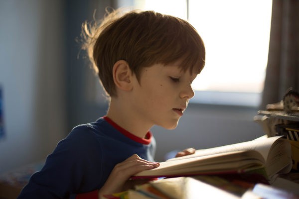 От программирования до вексиллологии – 7 книг, которые интереснее учебников