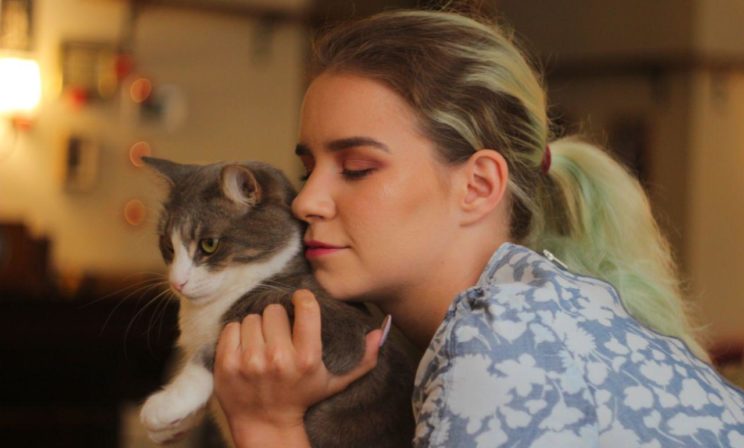 «Мы создали место, где можно прийти и согреться возле котов»