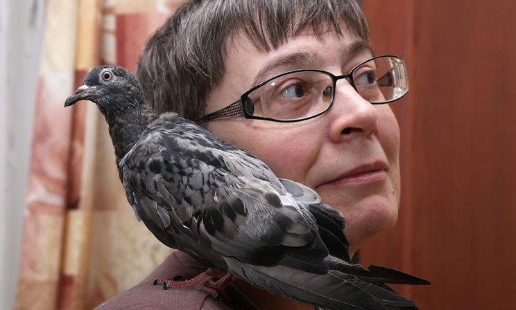 Голубица с квартирой в Москве