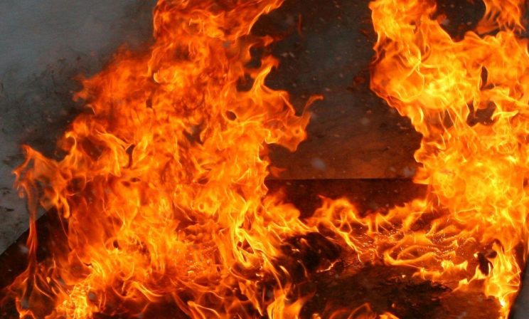 В Тюменской области ликвидировали все лесные пожары