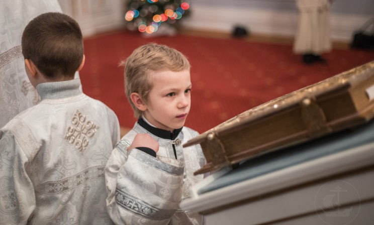 Евангелие просто берет меня за руку и поднимает на высоту, которой не достичь