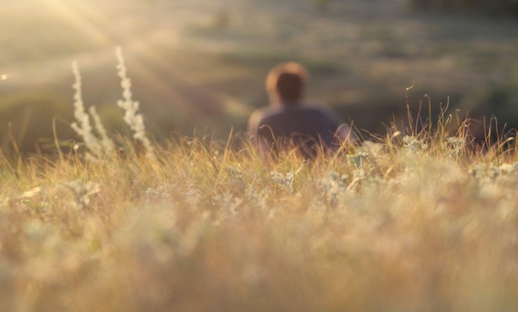 Над пропастью во лжи