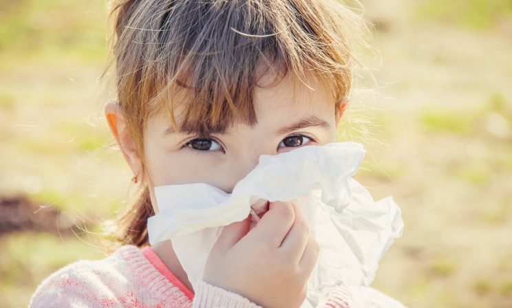 «Все вокруг цветет, а я чихаю». Важные вопросы о сезонной аллергии
