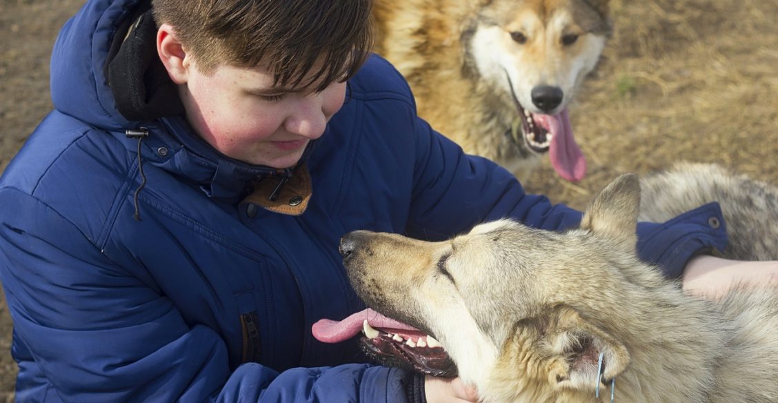 "Хозяев на всех не хватает - тем более хороших". Можно ли животных в съемное жилье, при беременности и у кого есть шансы выжить на улице