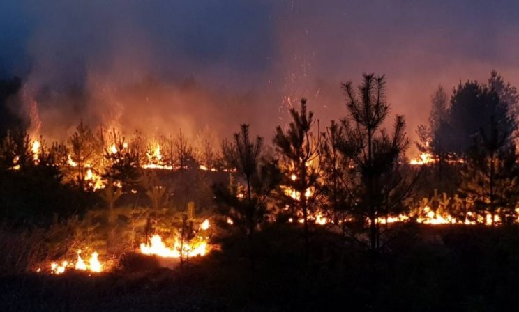 После масштабного наводнения в Иркутской области ввели режим ЧС из-за лесных пожаров