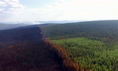 Почти 3 миллиона гектаров леса горят в России, большую часть пожаров не тушат