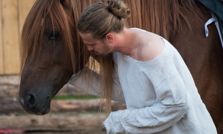 «А потом выйдет конь и все сделает по-своему». Театр, в котором главные артисты – вовсе не люди