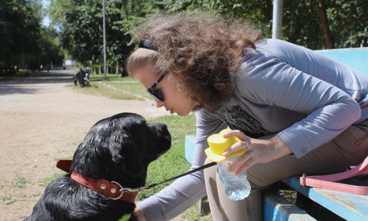 «На экзаменах моя собака храпела под столом». Как незрячая абитуриентка шокировала преподавателей университета