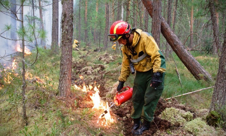 Тушат вручную, пайки закупают сами, а техника еще советская. Как пожарные-десантники спасают Сибирь от огня