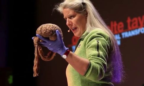 “Я стала младенцем в теле взрослой женщины”. Как Джил пережила инсульт и вернулась к жизни