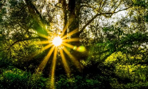 «Она поклялась, что доживет до 30». Как девушка с муковисцидозом опровергла прогнозы врачей