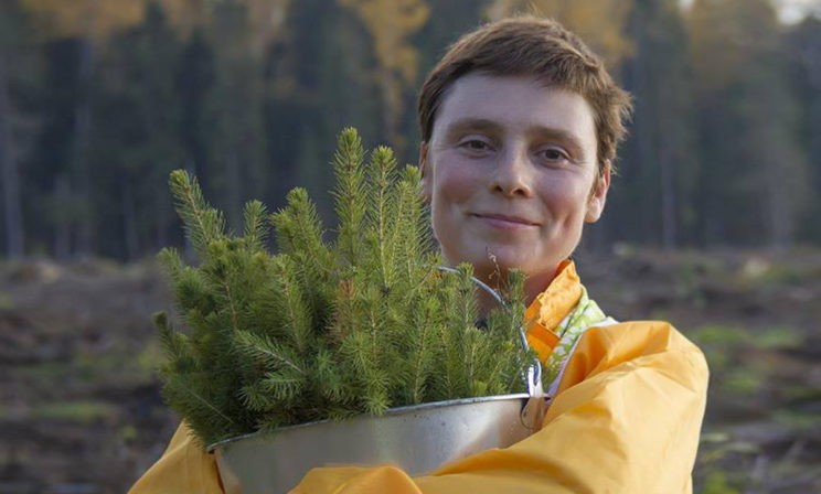 Новый год без пакетов и лишних покупок. Экопривычки – как их завести и с чего начать?