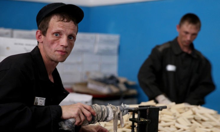 «Никому на работе не нужен бывший уголовник». На предприятиях будут создаваться колонии – что это значит?