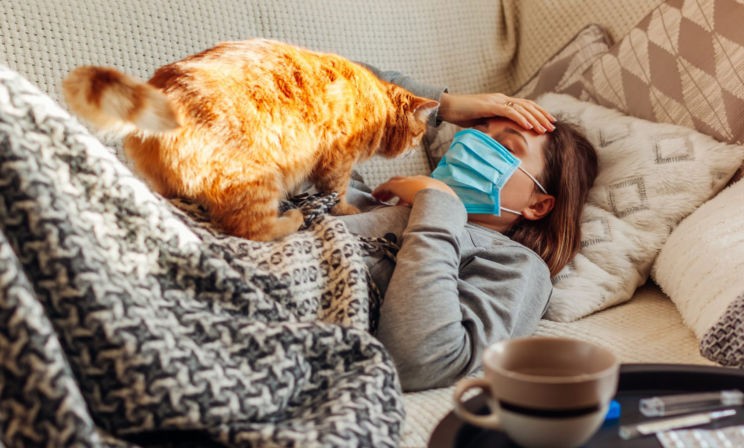 Я заболел коронавирусом. Что делать?