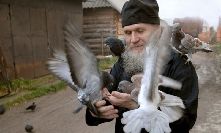 «Монахи — это святые ежики!» Как бескорыстные подвижники и чудотворцы вошли в церковную иерархию