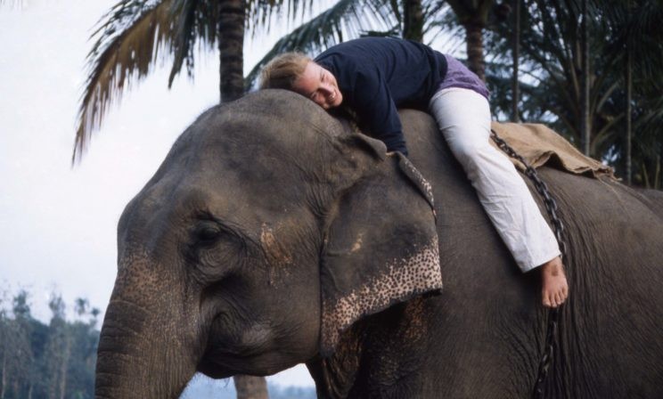 Всю жизнь я скрывала, что не вижу. А когда из-за правды потеряла все — пересекла Индию на слоне