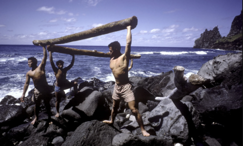 Шестеро мальчиков попали на необитаемый остров. Они жили там больше года