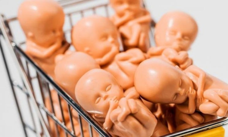 «Иностранцы едут в Россию, чтобы им выносили ребенка». ЭКО, суррогатное материнство и этика