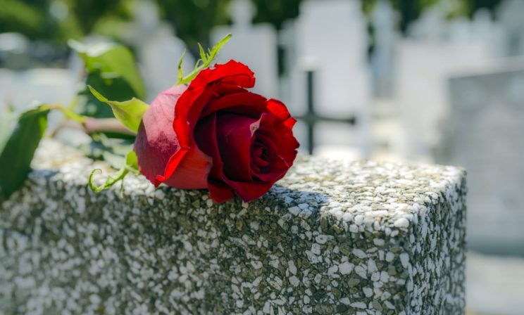 Им желали жить счастливо и умереть в один день. Так и случилось