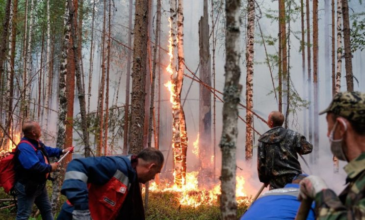 «Я приготовила сумку с документами, чтобы бежать». Лесной пожар в Югре подошел к городу