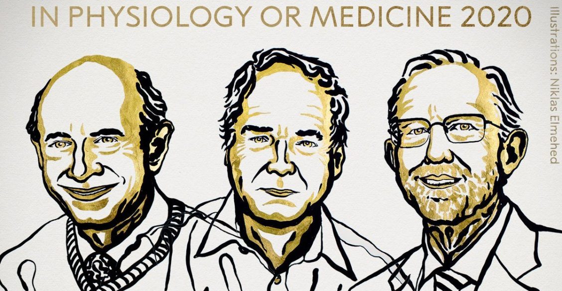Противовирусный успех. За что присуждена Нобелевская премия по медицине