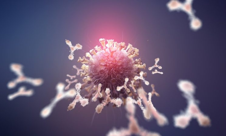 Зачем людям антитела. И что они делают, когда в организм попадает коронавирус