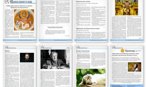 Православная стенгазета № 47 (570)