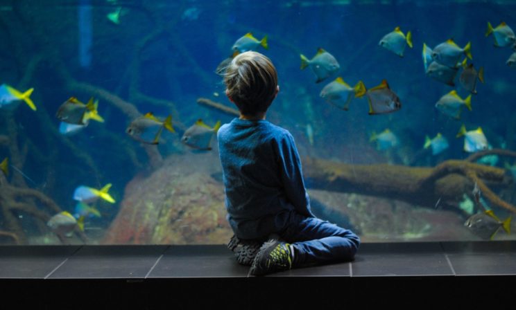 «У моего ребенка нет друзей, что с ним не так?» Почему переживают родители и как научить дружить