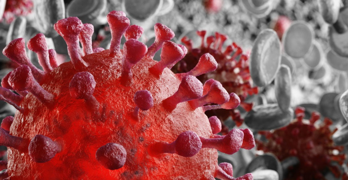 Опять новый штамм, на этот раз — «бразильский». Надо ли нам его бояться?