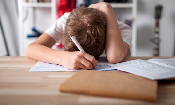 «Кукарекал на уроке русского языка». Что делать, если в начальной школе ребенок не хочет учиться