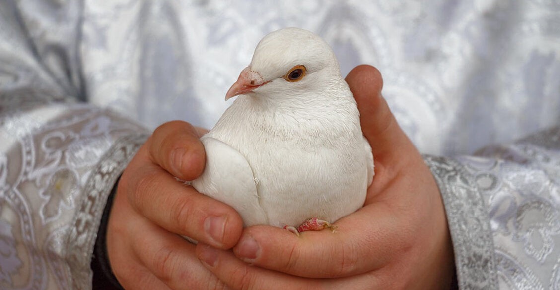 Самая хорошая новость в истории человечества