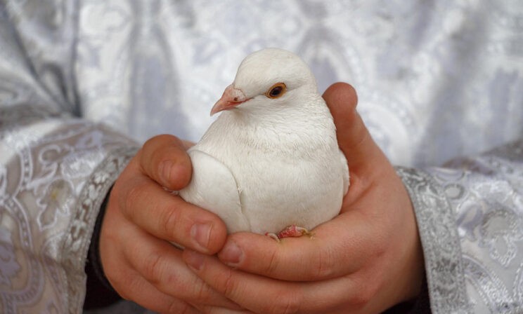 Самая хорошая новость в истории человечества