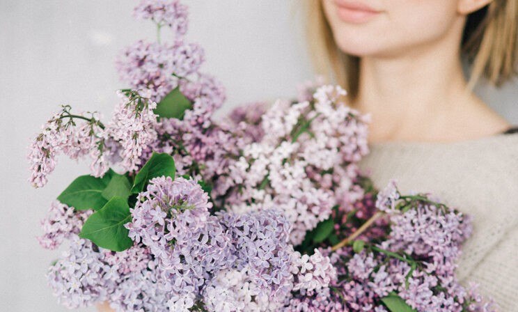 Воровка сирени