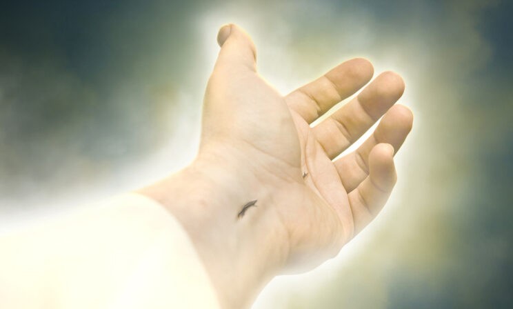 Войны, катастрофы, убийства — почему мы привыкли к смерти?