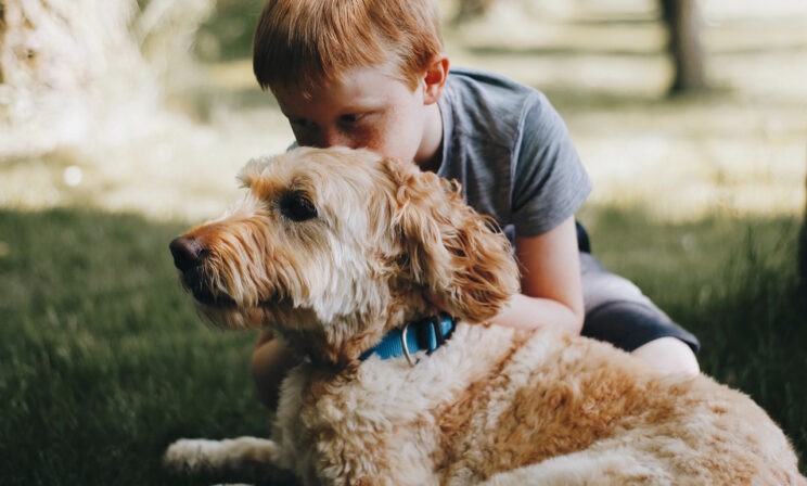 Новообращенный. Как пятиклассник стал Звездным Рыцарем