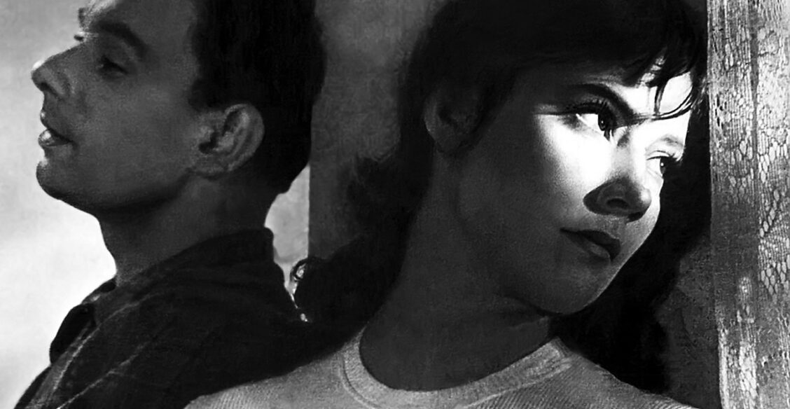 «Вместо батальных сцен — тревога и любовь». Смотрим всей семьей «Летят журавли»