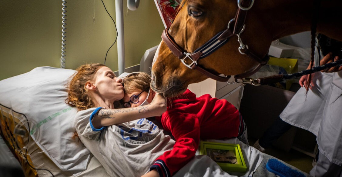 Доктор Пэйо. Фотоистория о лошади, которая «работает» с больными раком