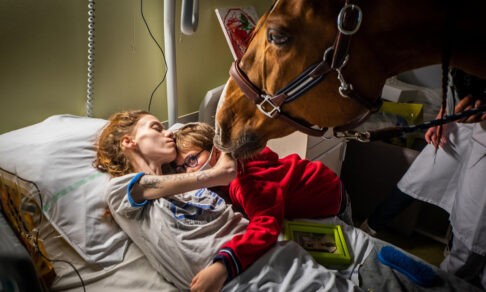 Доктор Пэйо. Фотоистория о лошади, которая «работает» с больными раком
