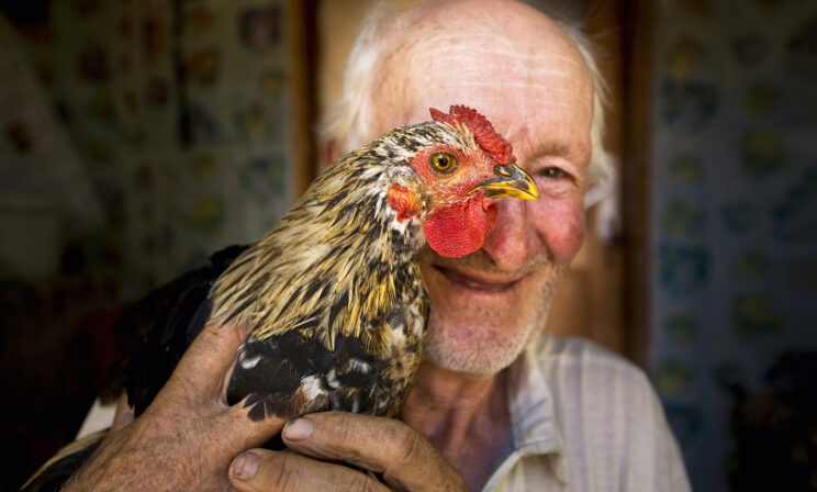 «Помяните Чапаева!» 6 смешных историй из жизни одного подворья