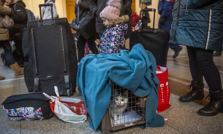 «Женщины привозят своих и чужих детей». Волонтер — о помощи прибывшим из Украины в Венгрию