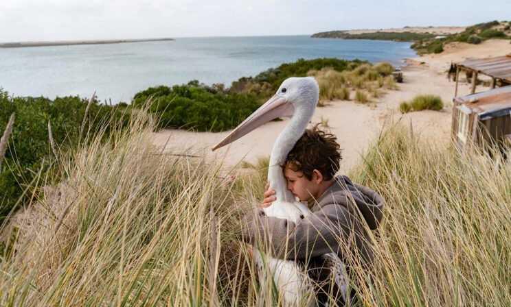 Почему у фламинго розовые перья? 10 фильмов о птицах, которые можно посмотреть с ребенком